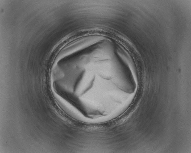 X0000081440826200702092222