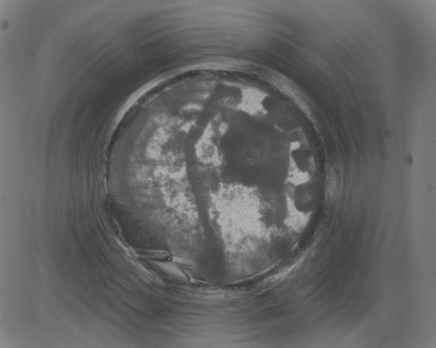 X0000081440829200702092222