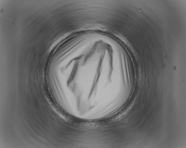 X0000081440834200702092222