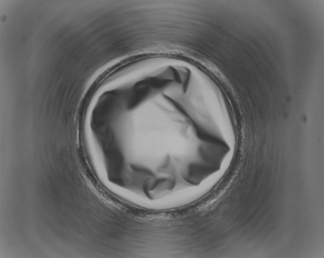 X0000081440838200702092222