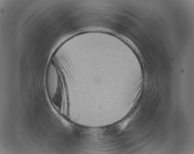 X0000081440847200702092223