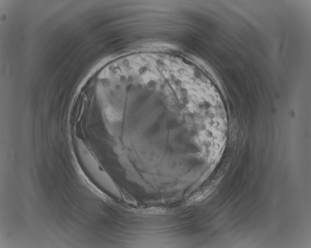 X0000081440851200702092223