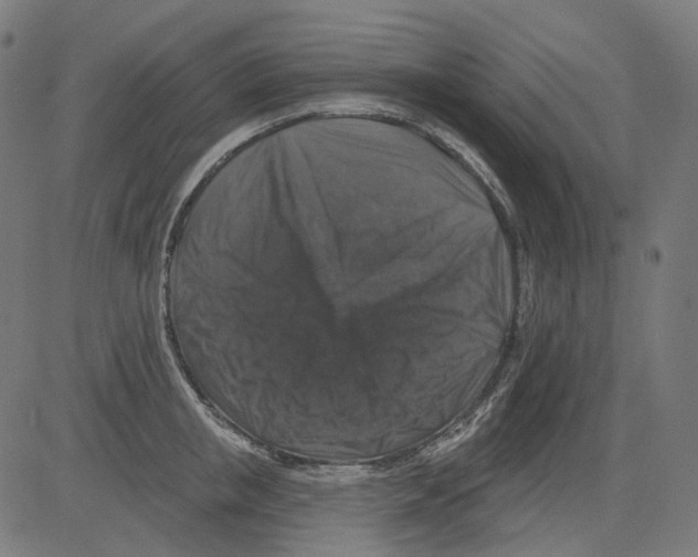 X0000081440853200702092223
