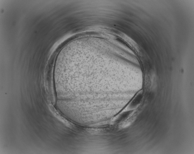 X0000081440854200702092223