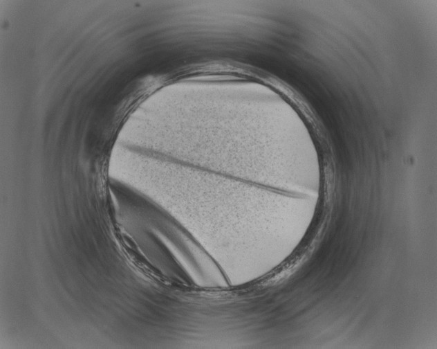 X0000081440857200702092223