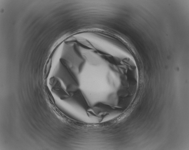 X0000081440858200702092223