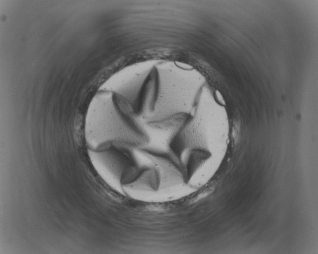 X0000081440867200702092222