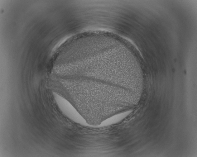 X0000081440871200702092222