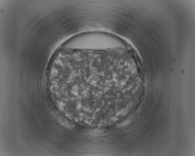 X0000081440879200702092222