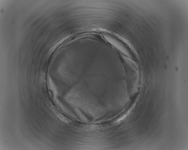 X0000081440881200702092222