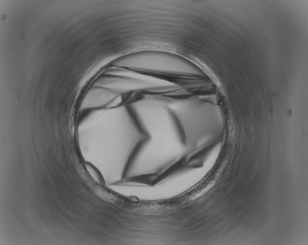 X0000081440885200702092222