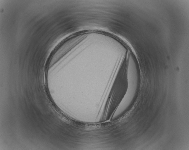 X0000081440887200702092222