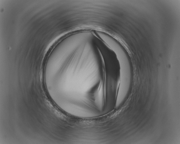 X0000081440888200702092222