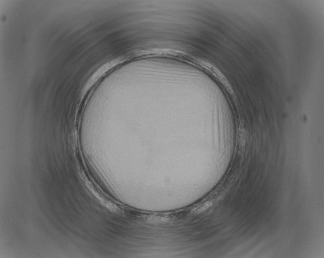 X0000081440890200702092222