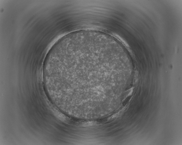 X0000081440891200702092222