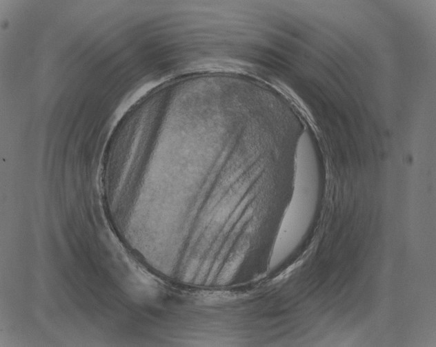 X0000081440893200702092222