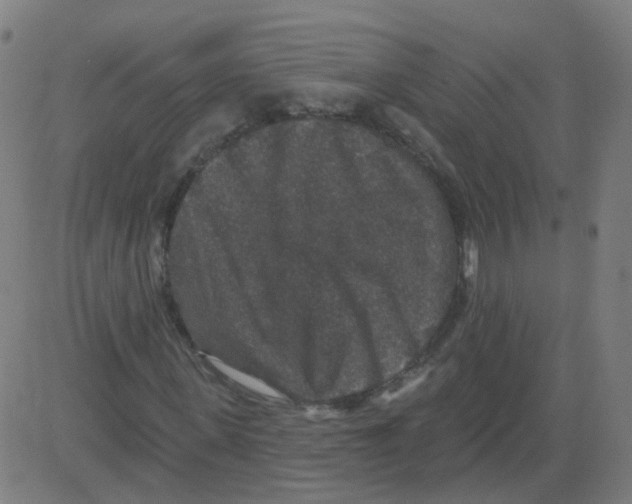 X0000081440915200702092221