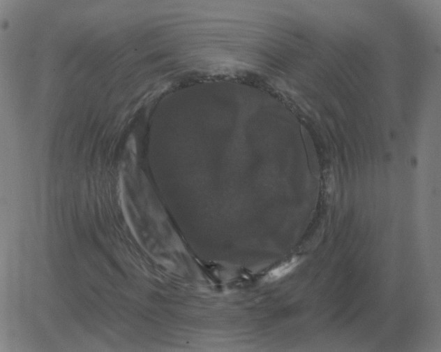 X0000081440916200702092221