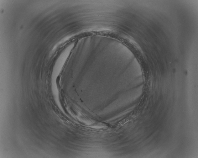 X0000081440920200702092221