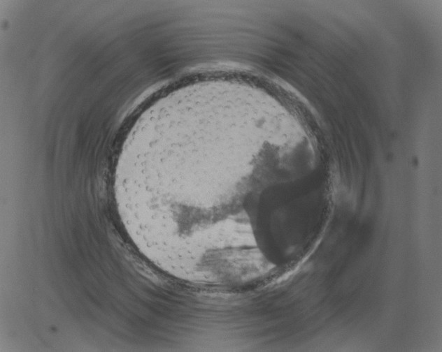 X0000081440921200702092221