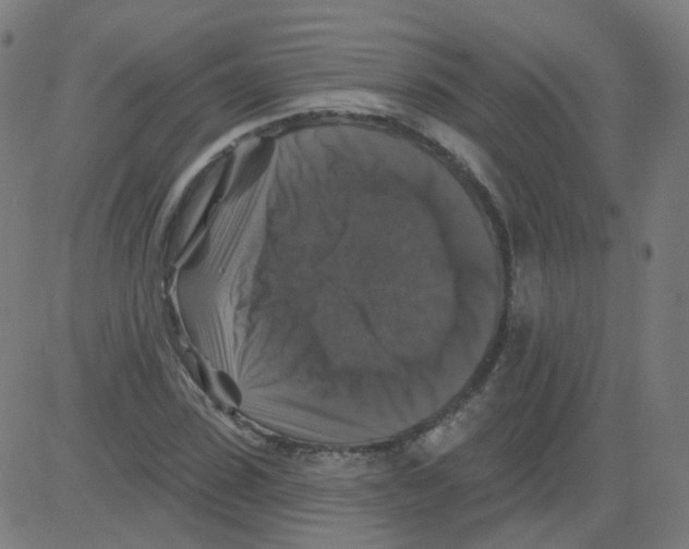 X0000081440923200702092221
