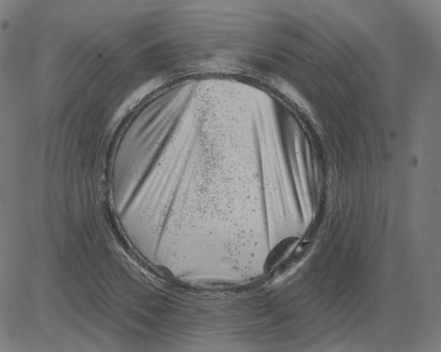 X0000081440930200702092221