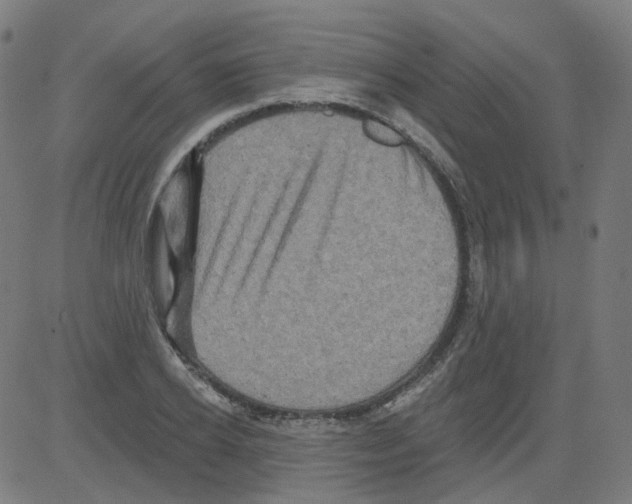 X0000081440934200702092221