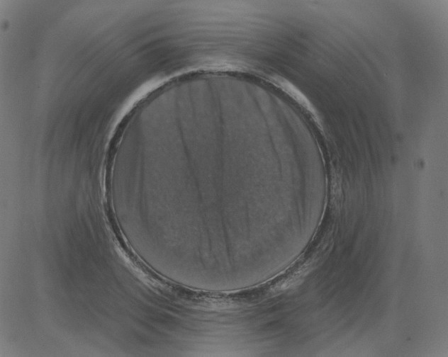 X0000081440935200702092221