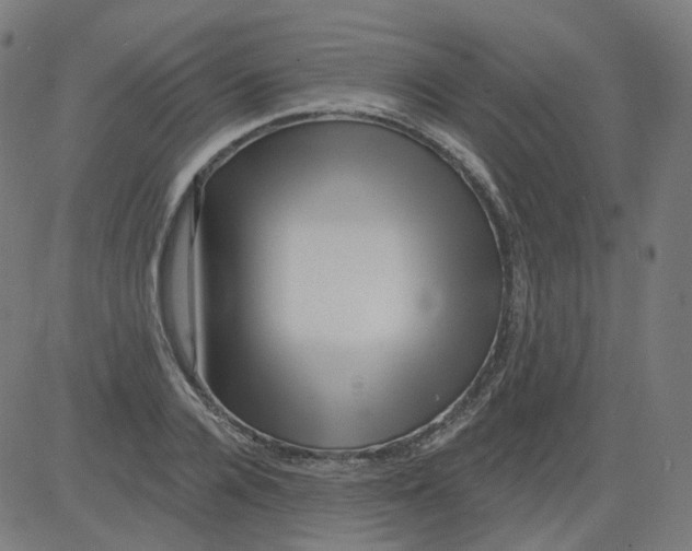 X0000081440936200702092221
