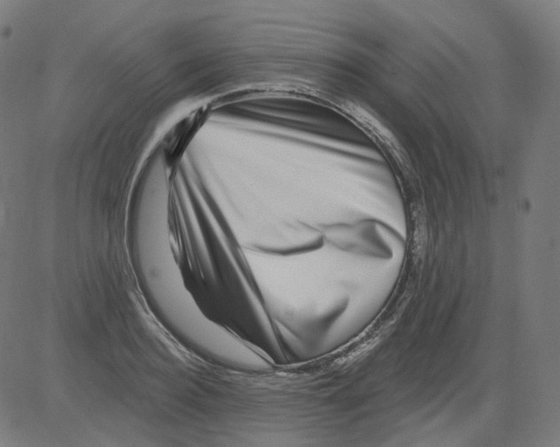 X0000081440940200702092221