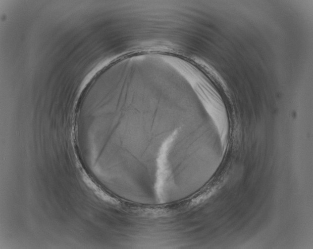 X0000081440941200702092221