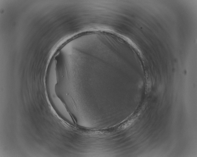 X0000081440943200702092221
