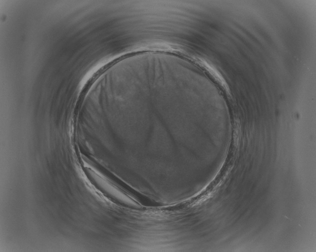 X0000081440944200702092221