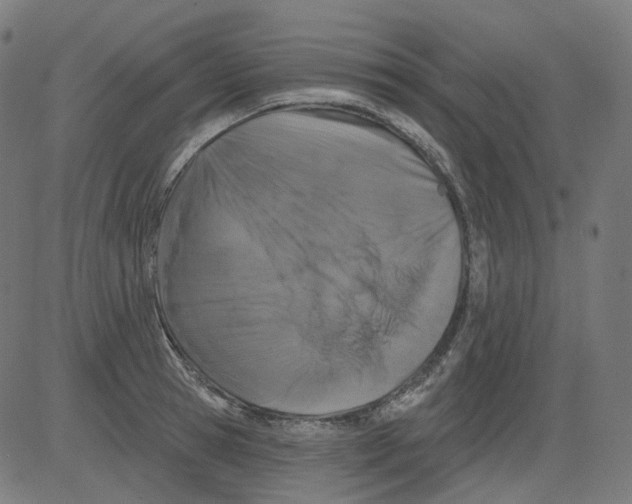 X0000081440945200702092221