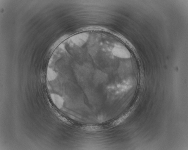 X0000081440953200702092221