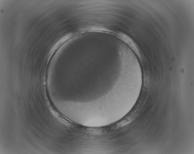 X0000081440954200702092221
