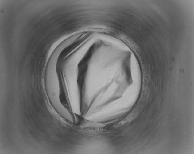 X0000081440960200702092221