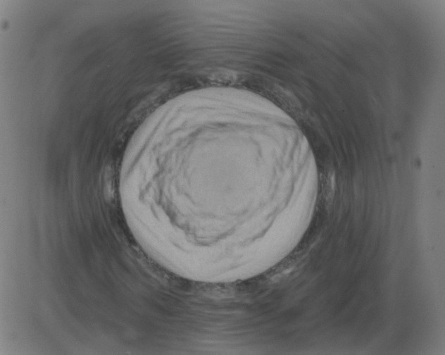 X0000081440962200702092221