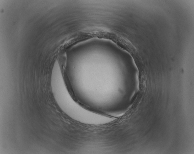 X0000081440965200702092221
