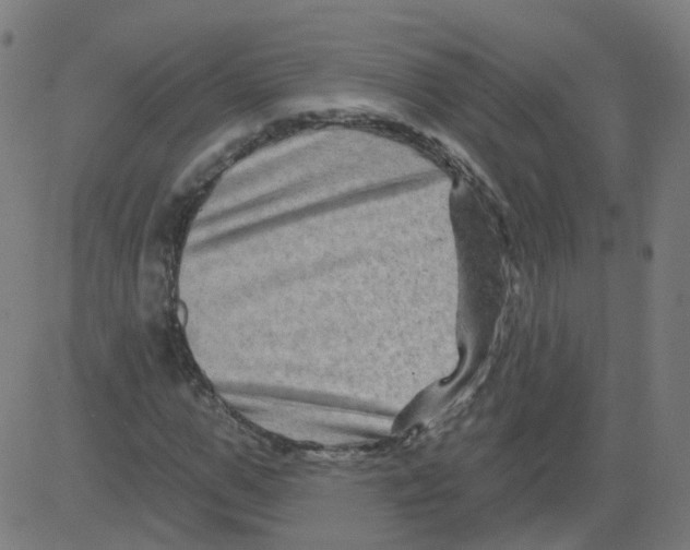 X0000081440967200702092220