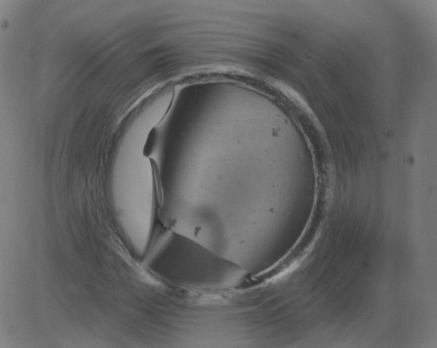 X0000081440969200702092220