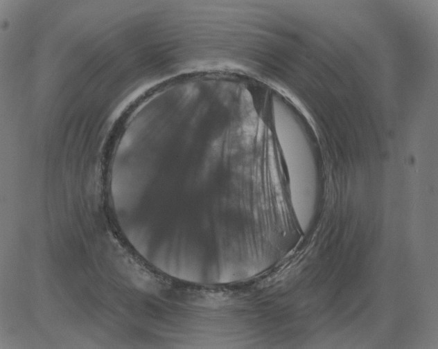 X0000081440975200702092220