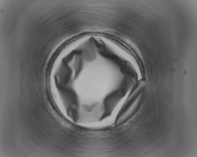 X0000081440976200702092220