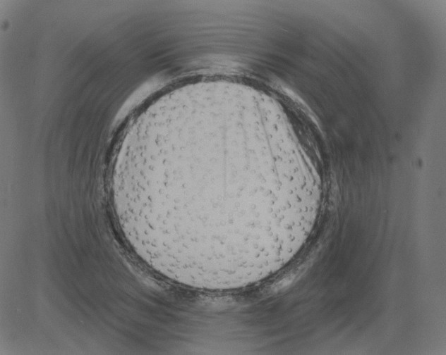 X0000081440978200702092220