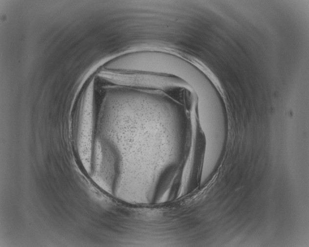 X0000081440996200702092220