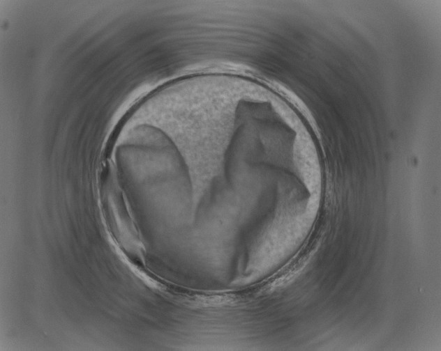 X0000081440997200702092220