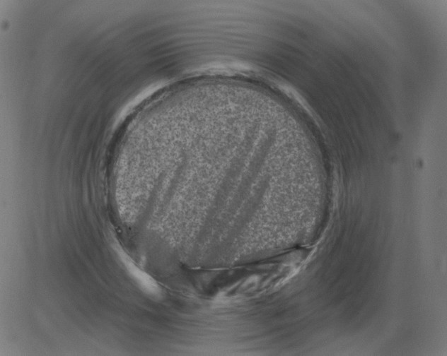 X0000081441018200702092219