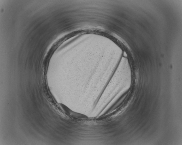 X0000081441021200702092219