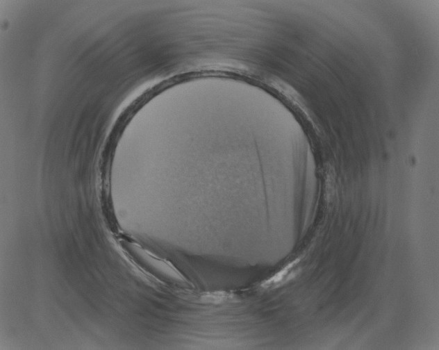 X0000081441024200702092219