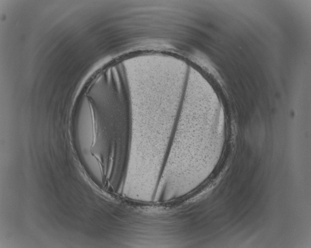 X0000081441029200702092219